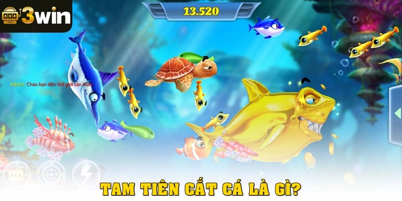 Tam tiên cắt cá là gì?