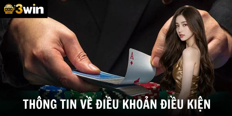 Thông tin về điều khoản điều kiện chi tiết